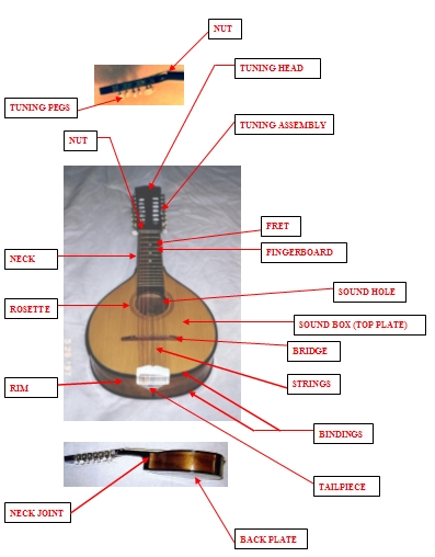 all kinds of rondalla instruments